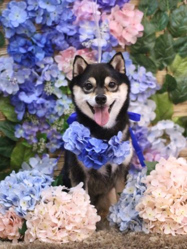 20250620ふうくん